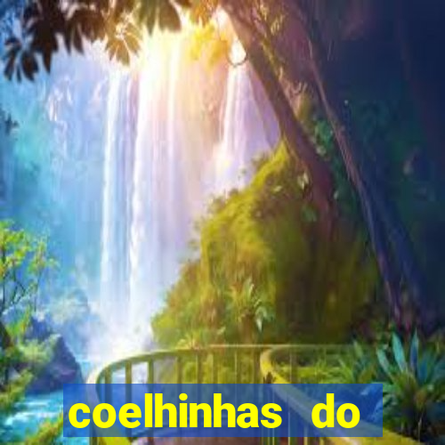 coelhinhas do brasil site